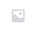 rockhampton archery - Professional Guide and Review